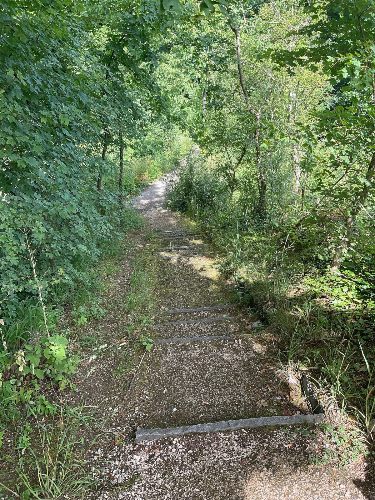 Durtschi, Erneuerung Waldweg Hülftendenkmal in Frenkendorf